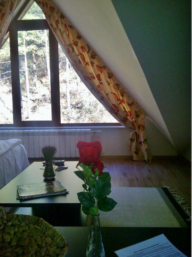 Vila Rila Самоков Екстериор снимка